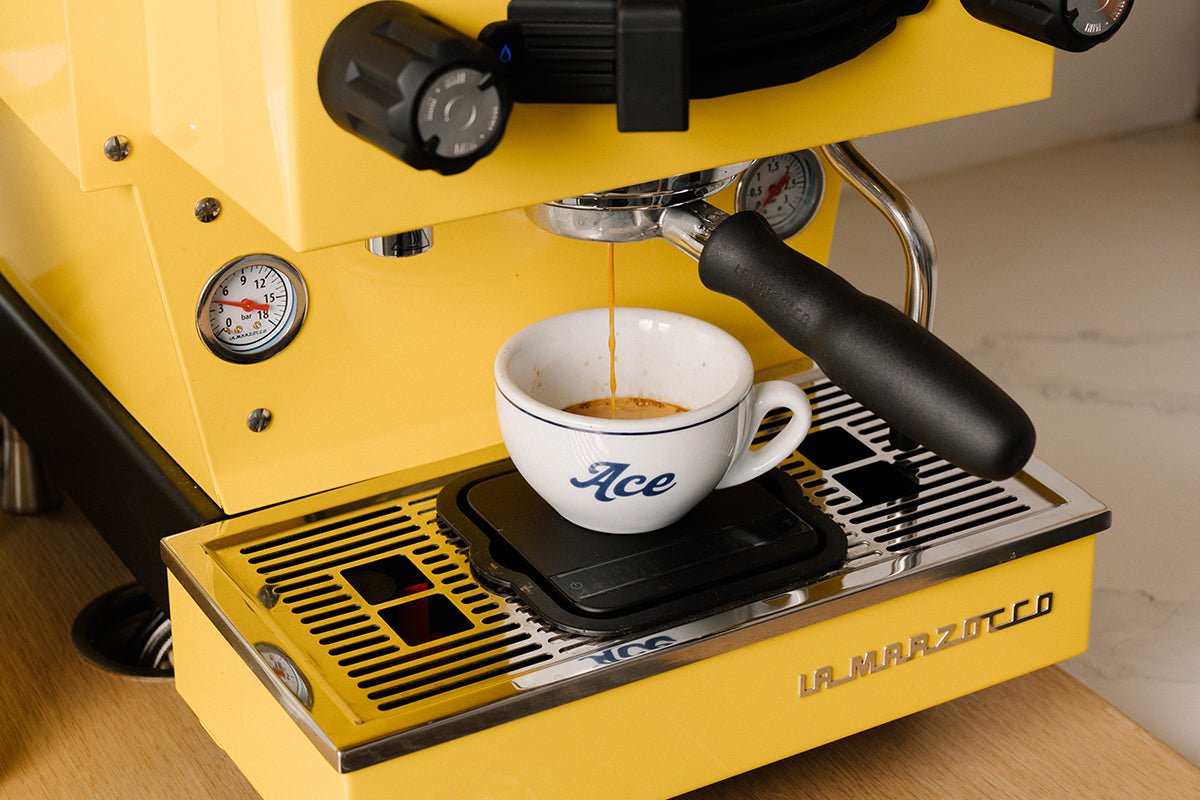 La Marzocco Home Espresso Class Edmonton | Beginner – ACE Coffee Roasters