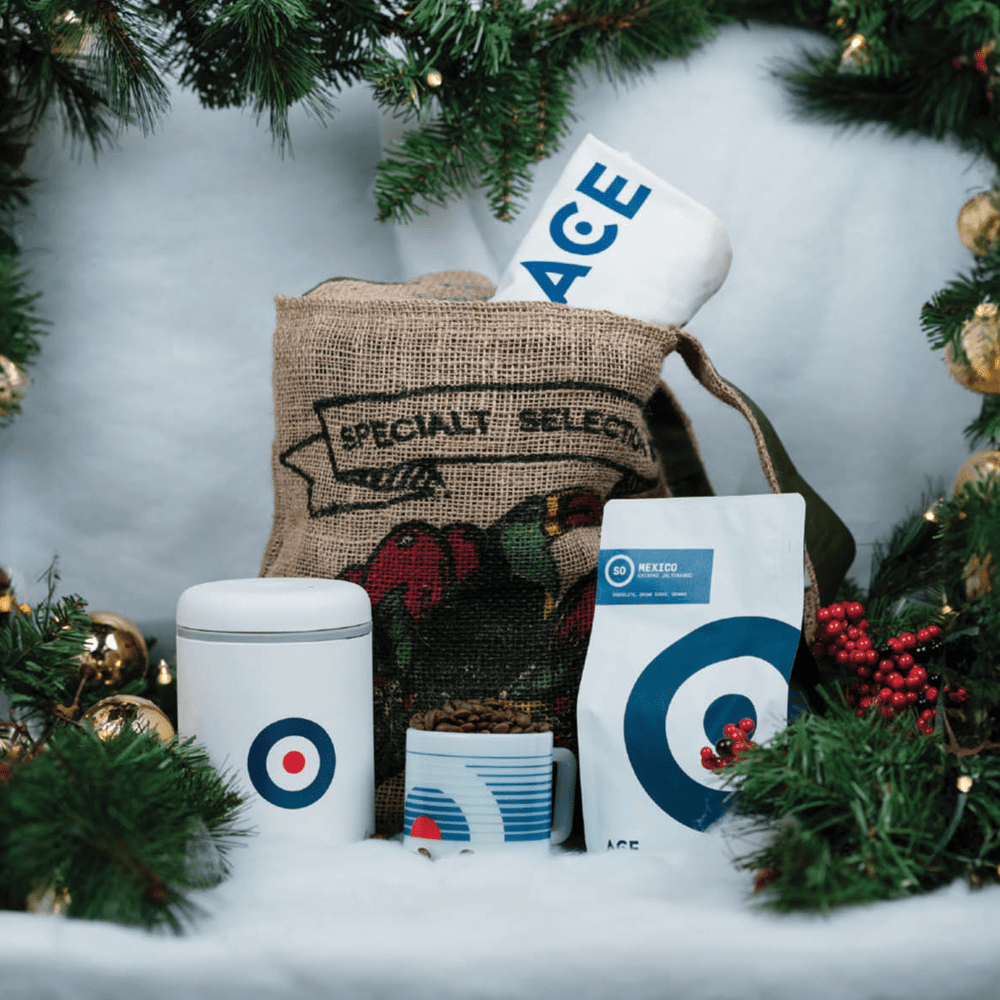ACE Holiday Bundle